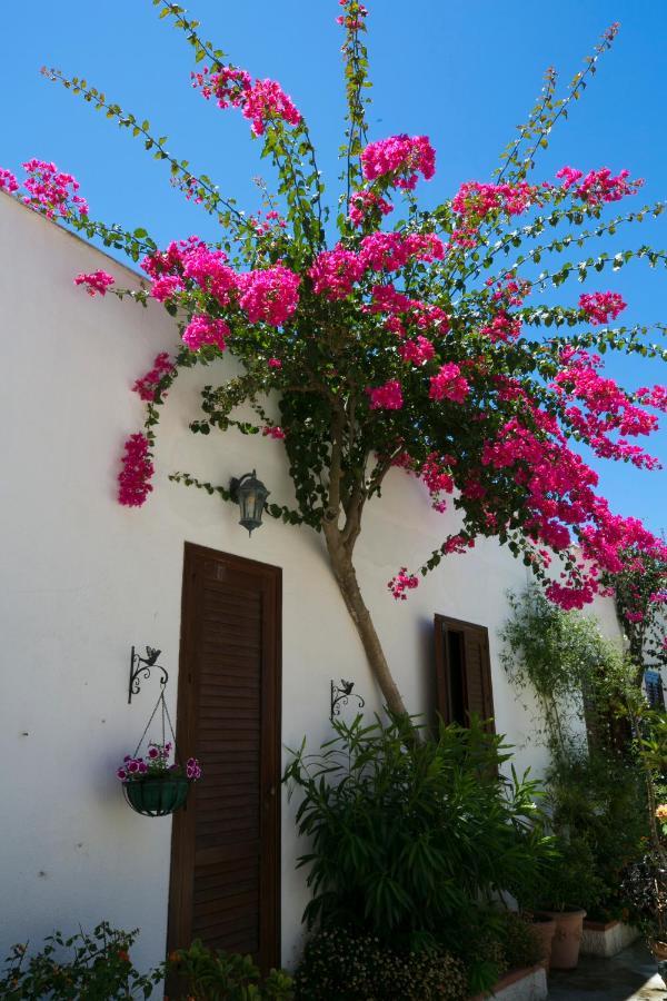 Villa Pampalone - B&B In Dimora Storica Trapani Kültér fotó