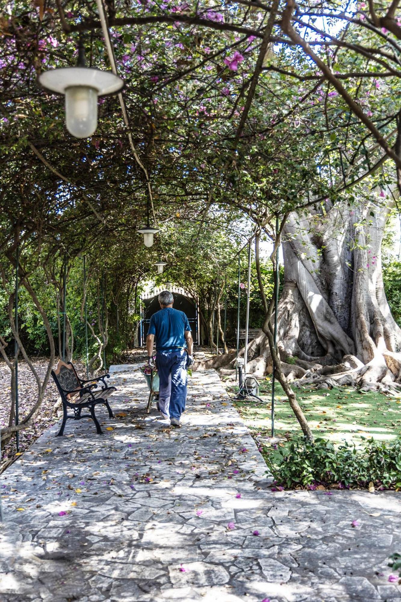 Villa Pampalone - B&B In Dimora Storica Trapani Kültér fotó